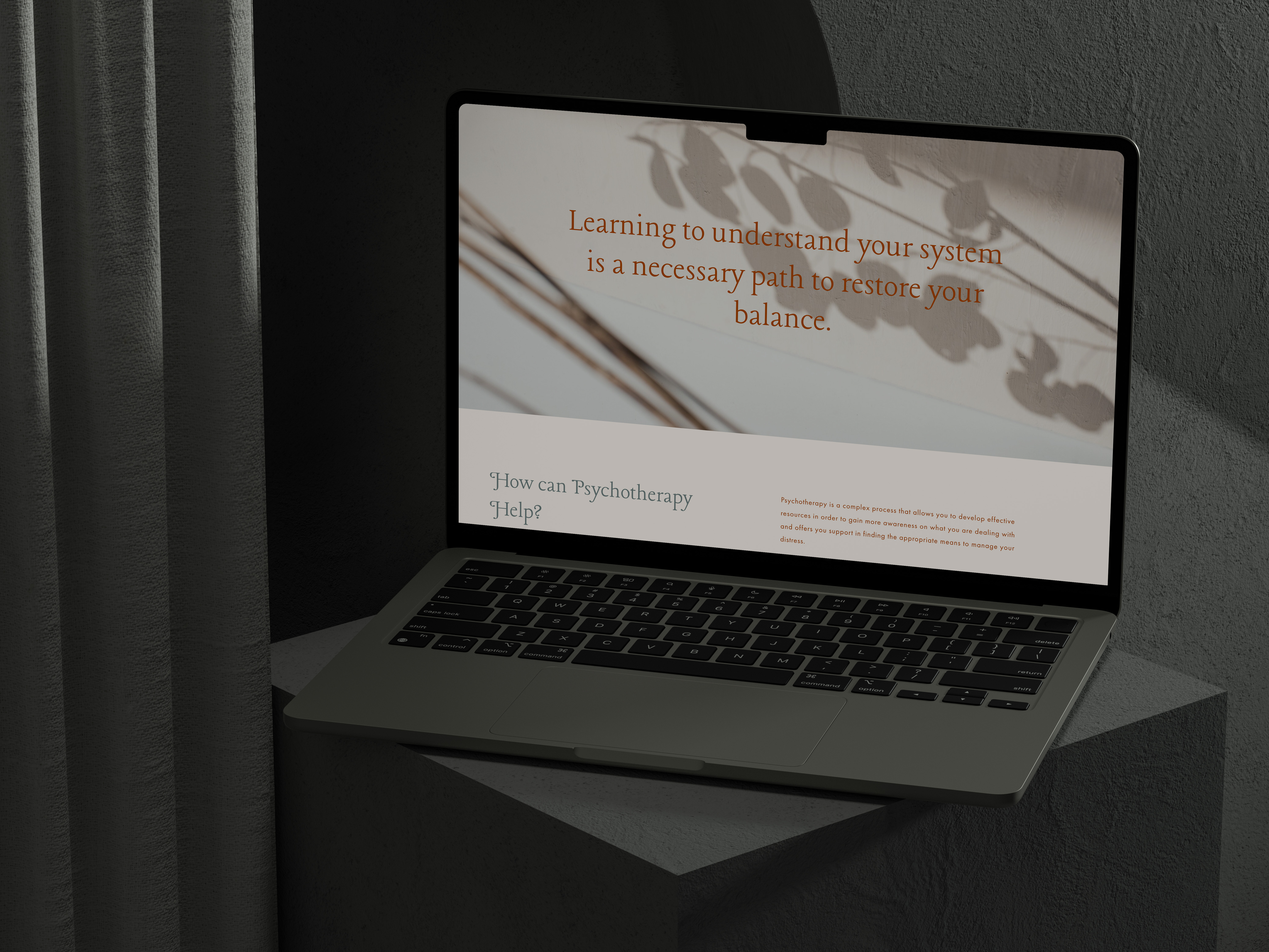 Irina Petreanu psychotherapy website displayed on a laptop